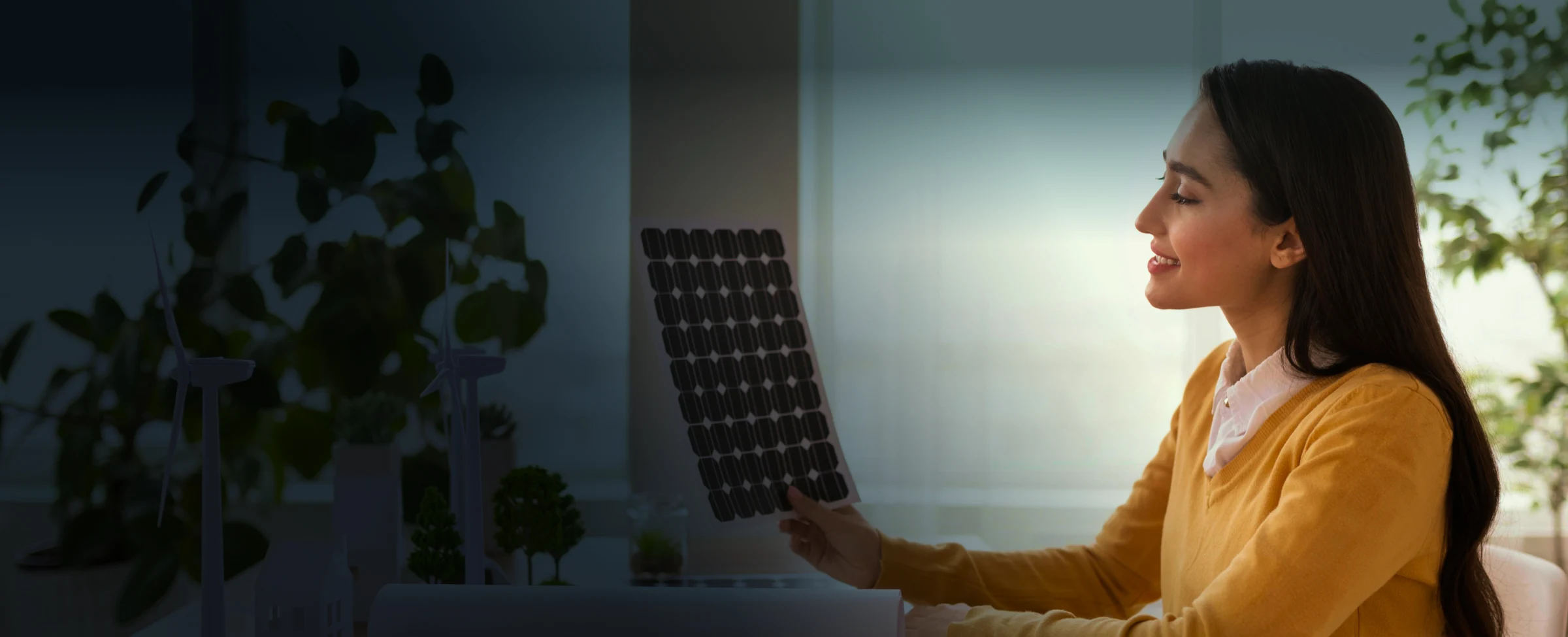 Avaada Electro solar consultation